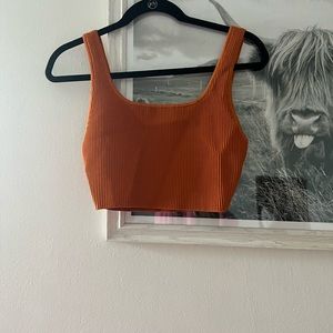 Babaton aritzia top